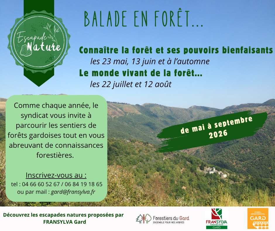 Affiche_halte aux flammes