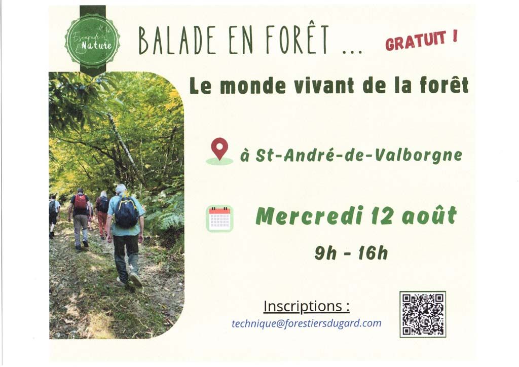 Flyer 12 août