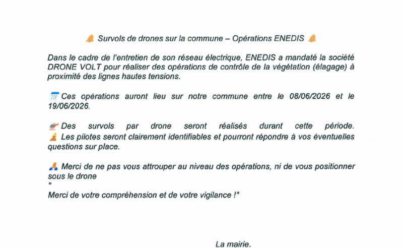 Avis